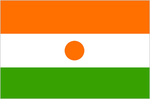 Niger flag